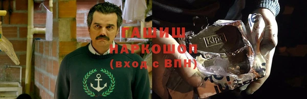 индика Вяземский