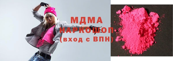 индика Вяземский