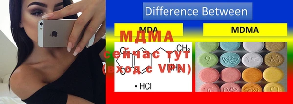 индика Вяземский