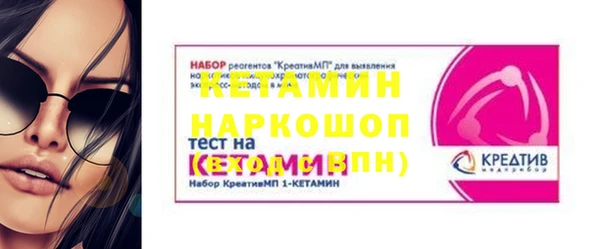 индика Вяземский
