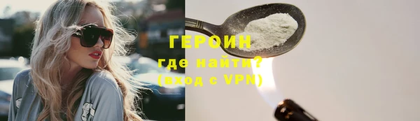 индика Вяземский