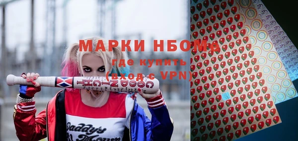 индика Вяземский