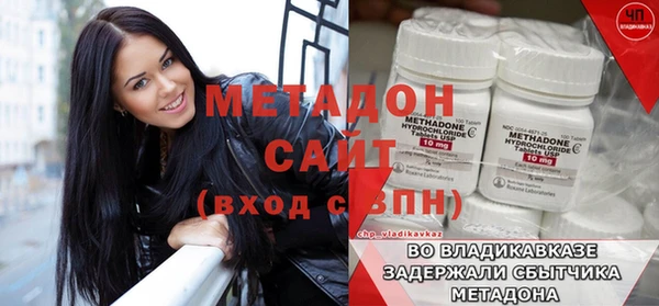 индика Вяземский