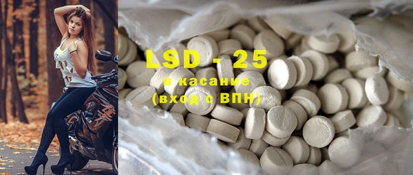 индика Вяземский