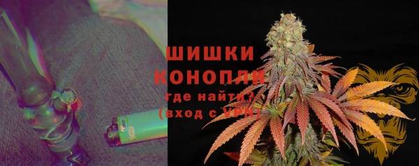 индика Вяземский