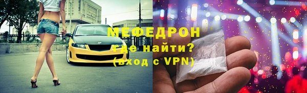 индика Вяземский